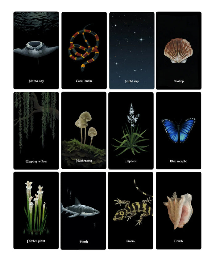 Nocturna Oracle deck with guidebook