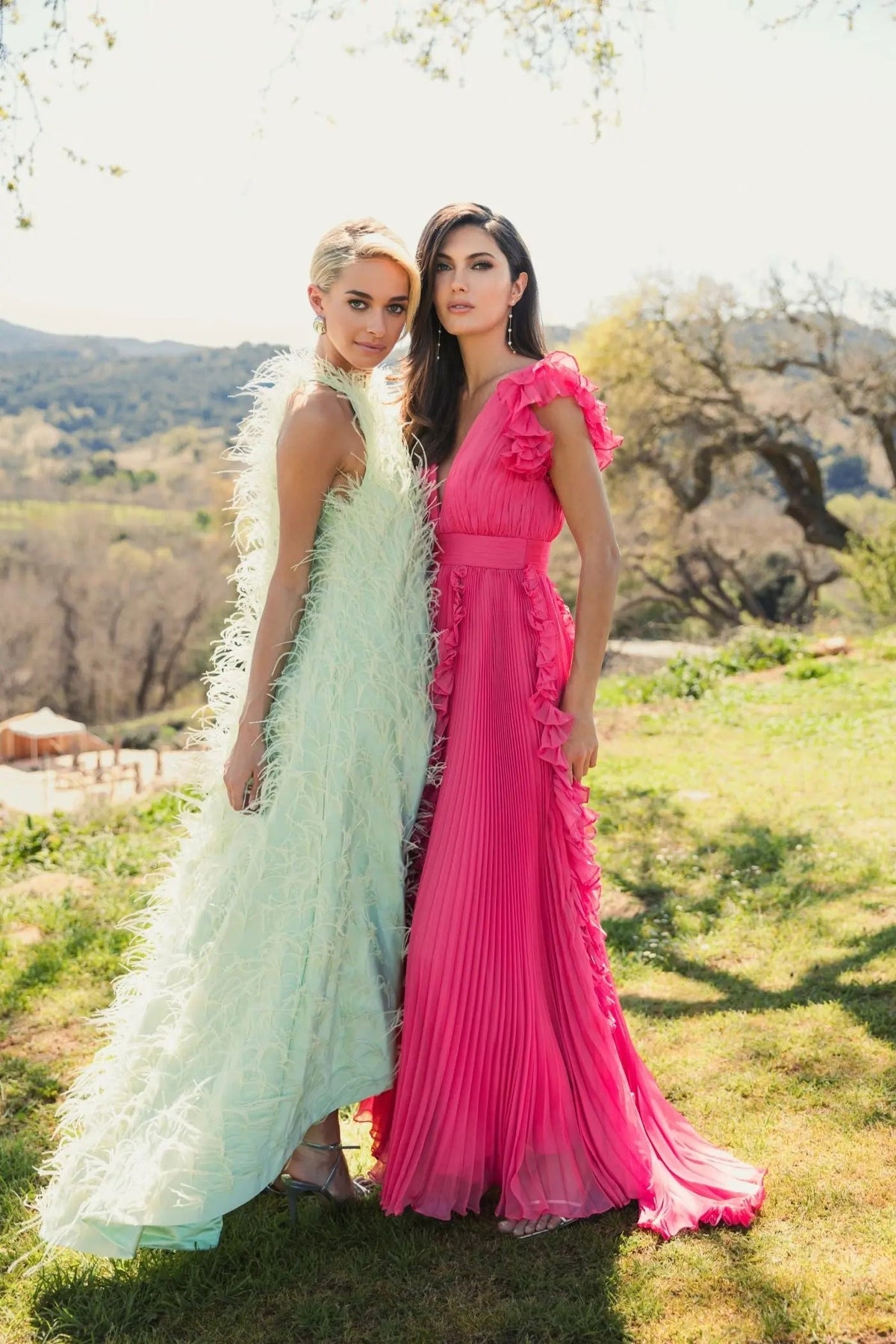 Pink Pleated Ruffle Cap Sleeve Flowy A Line Gown