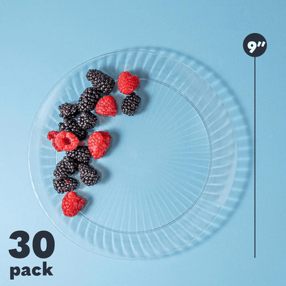 Clear Plastic Plate - 30 Pack - Wichita Home Outlet