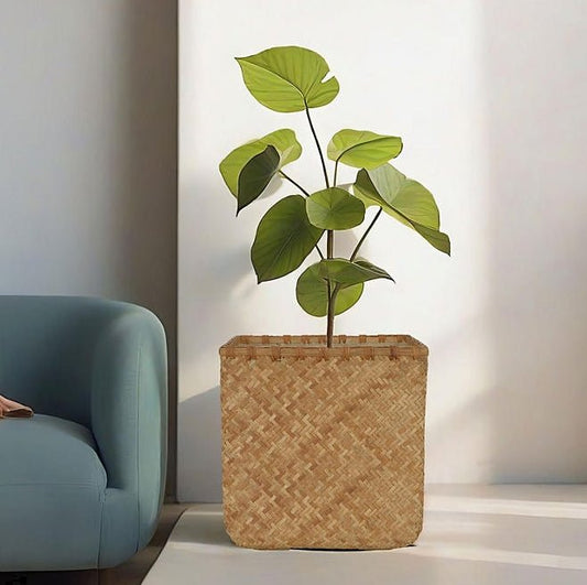 Natural Woven Square Planter - Wichita Home Outlet