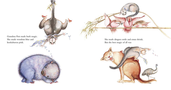 Possum Magic by Mem Fox