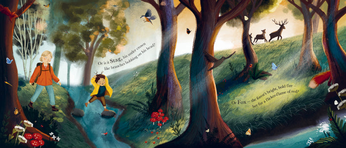 Who Owns the Woods by Emily Hibbs and Jess Mason